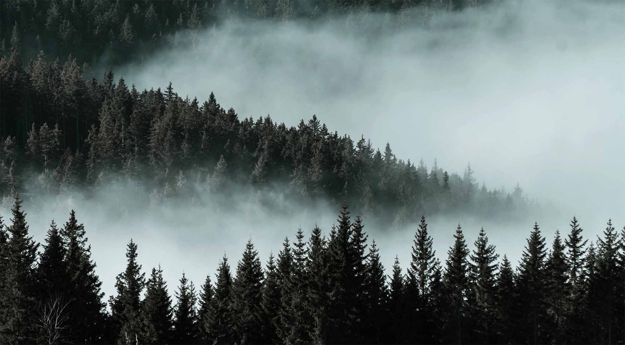 Lee más sobre el artículo Artículo de blog 2