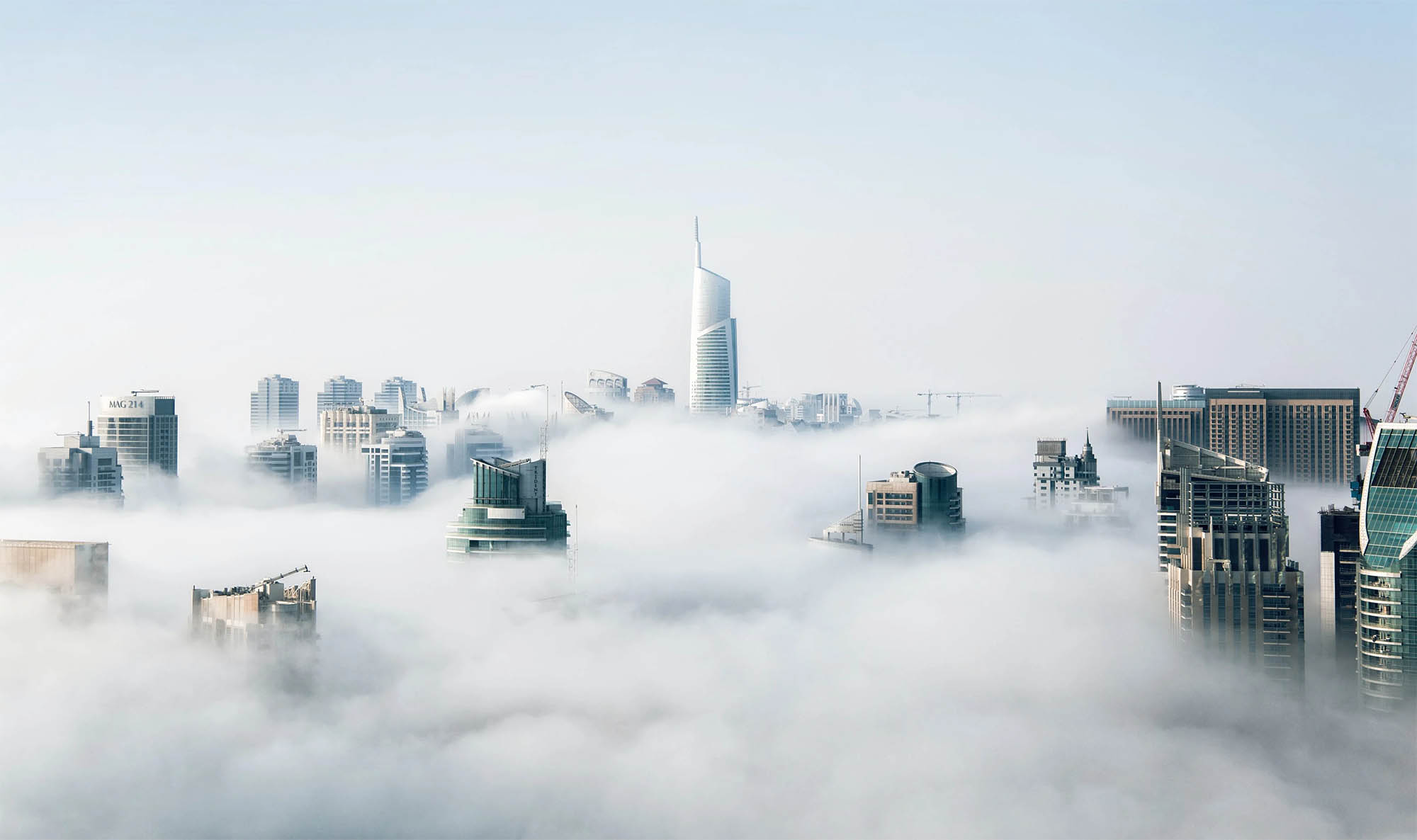 Lee más sobre el artículo Artículo de blog 1